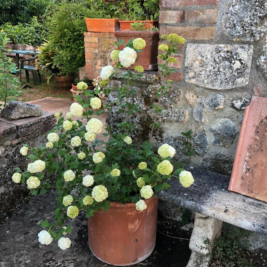 Agriturismo San Giusto Villa Sovicille Luaran gambar